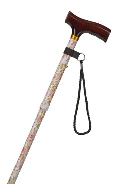Photo of a cane